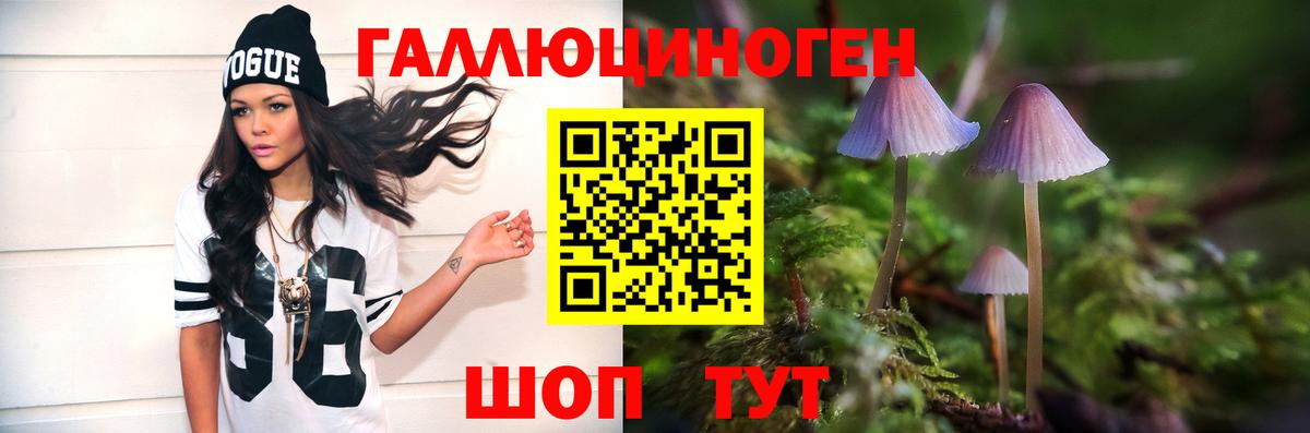 Галлюциногенные грибы Cubensis Тольятти